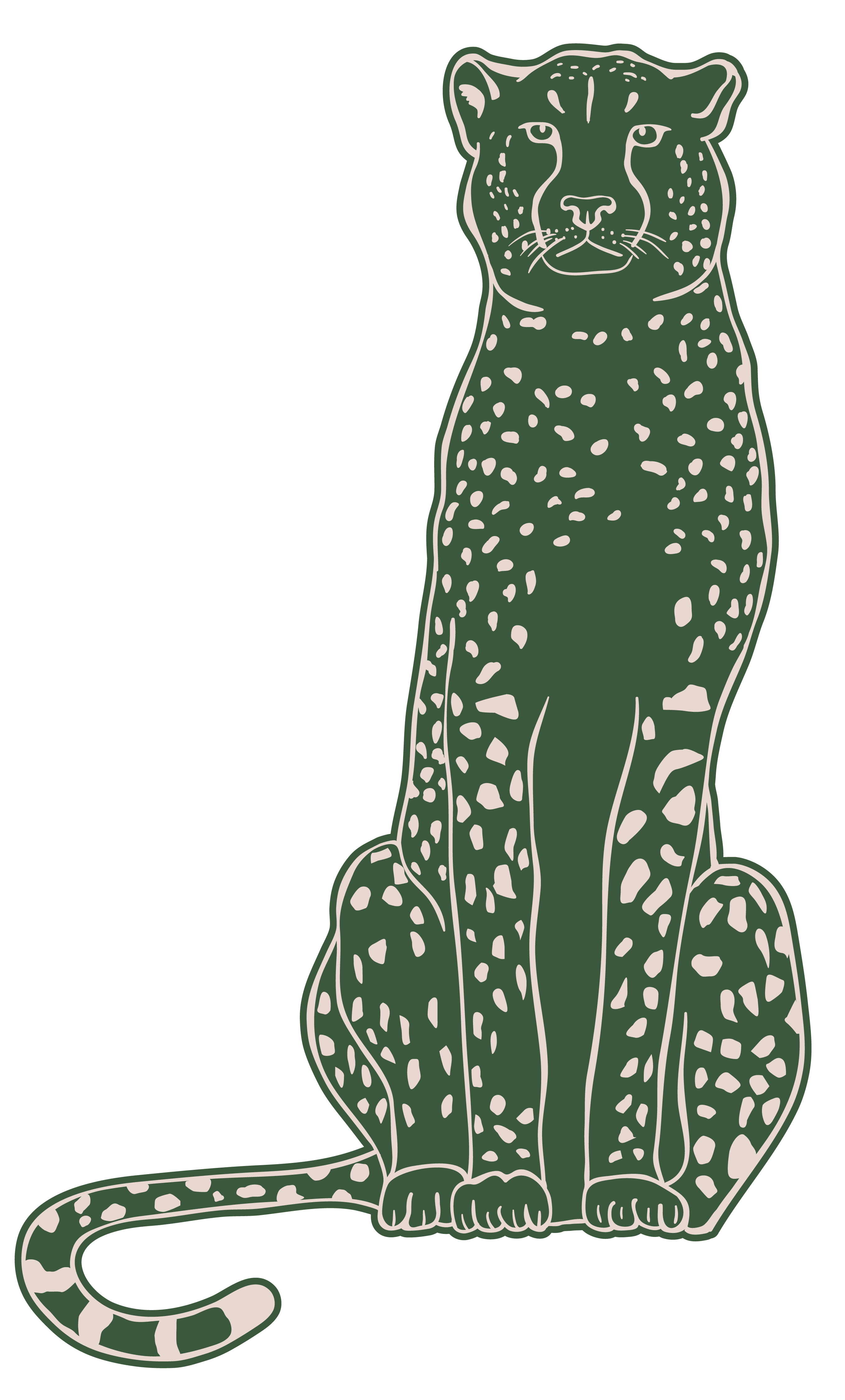Cheetah